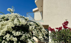 Beautiful 3 bedroom furnished villa with swimming pool for sale in Sea Caves