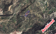 Large Koili field for sale 13378 m2 , Paphos
