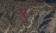 Large 14716m2 field for sale in Arakapas village (landlocked) , Limassol