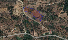 Large 7320 m2 field for sale in Arakapas , Limassol