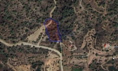 Large 4683m2 field for sale in Arakapas village (landlocked) , Limassol