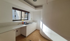 Luxury commercial to rent in Engomi