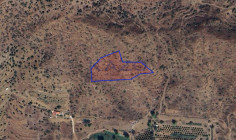 Large 6689m2 field for sale in Eptagonia (landlocked) , Limassol