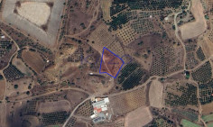 Large 3011m2 field for sale in Eptagonia (landlocked) , Limassol