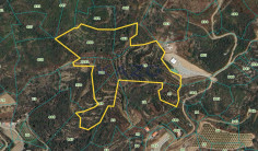 Large field plot of 28542m2 in Eptagonia village (landlocked) , Limassol