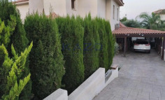 Spacious detached house with pool in green Moni Spacious detached house with pool in green Moni