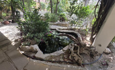 4 bedroom house to rent in Ayios Andreas