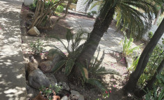 4 bedroom house to rent in Ayios Andreas