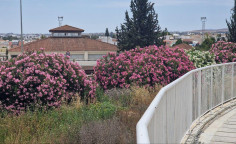 Land for sale in Lakatamia, Nicosia