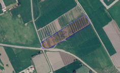 Expansive residential land in Perivolia , Larnaca