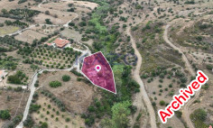 Field in ora, Larnaca , Larnaca