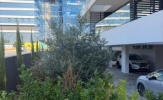 Modern furnished 2-bed apartment in Agios Athanasios 