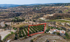 Agricultural for sale in Polemi