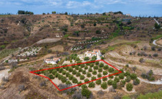 Agricultural for sale in Polemi