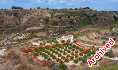 Agricultural for sale in Polemi