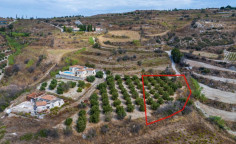 Agricultural field in Polemi, Paphos 
