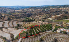 Agricultural field in Polemi, Paphos 
