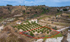 Agricultural field in Polemi, Paphos 