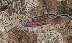 Expansive agricultural field in Apesia , Limassol