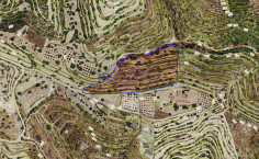 Expansive agricultural field in Apesia , Limassol