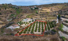 Land 2500 m2 for sale in Polemi, Paphos