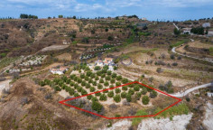 Spacious land for sale in Polemi, Paphos