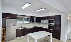 Elegant five bedroom house for rent in Paramytha 
