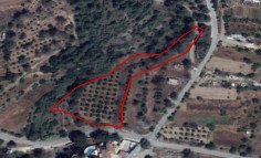 (agricultural) in Finikaria, Limassol for sale , Limassol