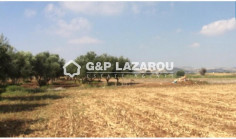 Agricultural for sale in Alaminos