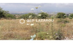 Agricultural land for sale in Mesogi, Paphos 