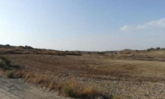 (agricultural) in Latsia, Nicosia for sale , Nicosia