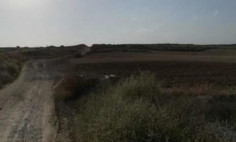 (agricultural) in Latsia, Nicosia for sale , Nicosia