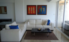 Luxury apartment for rent 