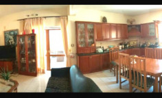 House in opalia 