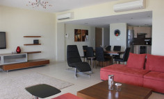 Beautiful and spacious apartment 