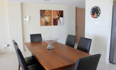 Beautiful and spacious apartment 