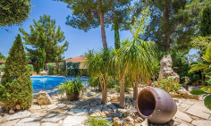 Beautiful 3-bedroom house for sale in Souni village 