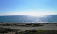 Land near the sea for investment! , Larnaca