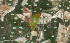 Large agricultural to buy in Pachna