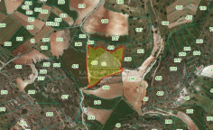 Spacious agricultural in Pachna