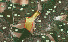 Lovely agricultural to buy in Pachna