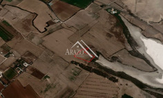 Field in Meneou , Larnaca
