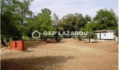 Agricultural land for sale in Kornos, Larnaca 