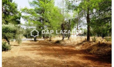 Agricultural land for sale in Kornos, Larnaca 