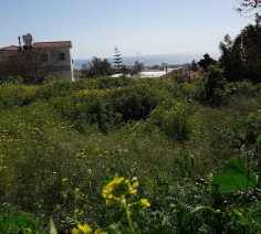 An excellent 750sq.m residential land in Pegeia Municipality., Paphos