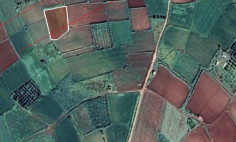 (agricultural) in Akaki, Nicosia for sale , Nicosia