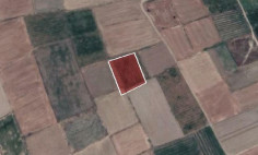 (agricultural) in Akaki, Nicosia for sale , Nicosia (agricultural) in Akaki, Nicosia for sale , Nicosia