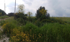 Residential 5352 m2 for sale in Alaminos, Larnaca