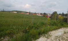 Residential 5352 m2 for sale in Alaminos, Larnaca