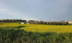 Residential 5742 m2 for sale in Geri, Nicosia